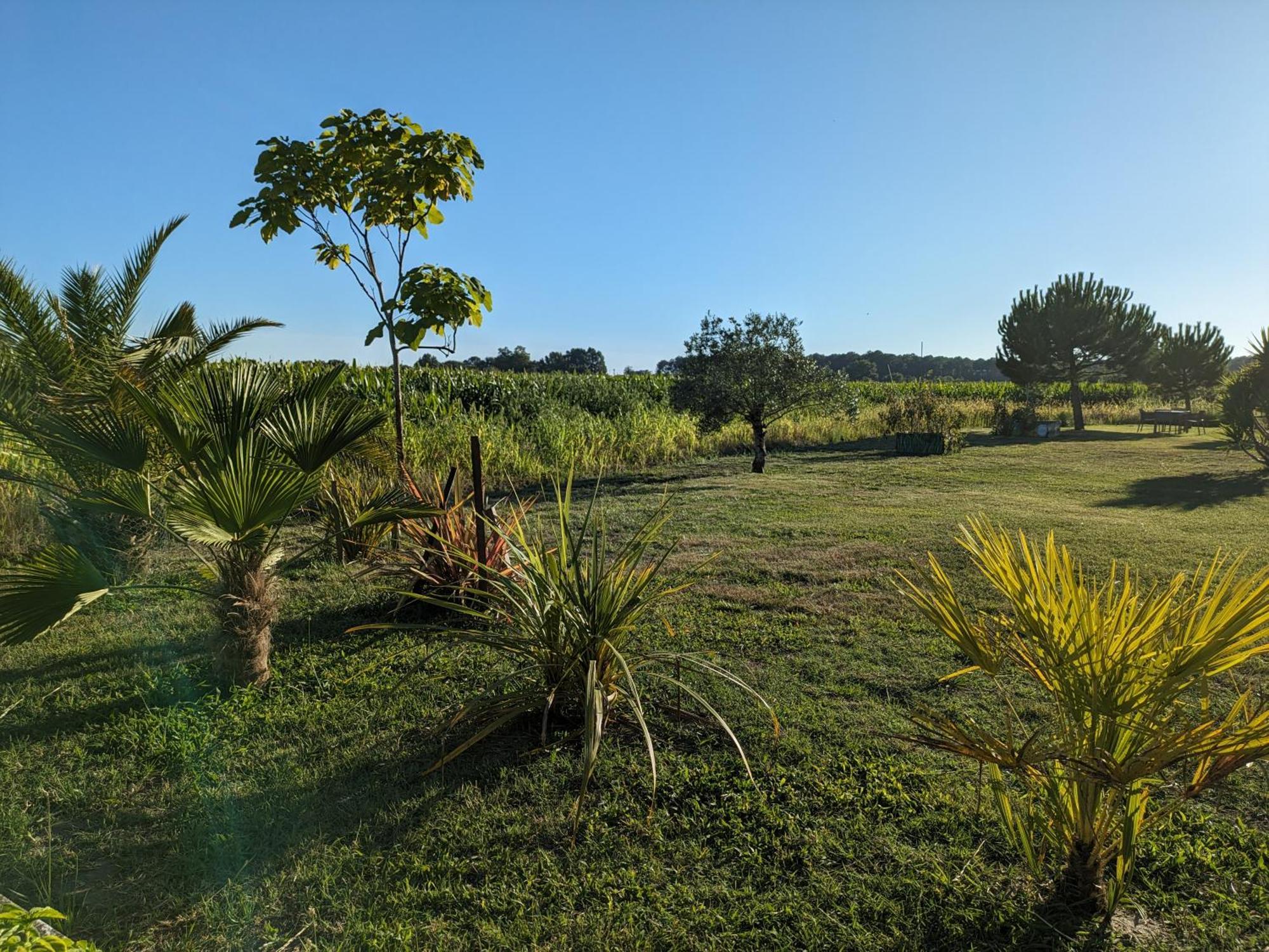 Villa La Grange D'Hardy Soustons Exterior foto