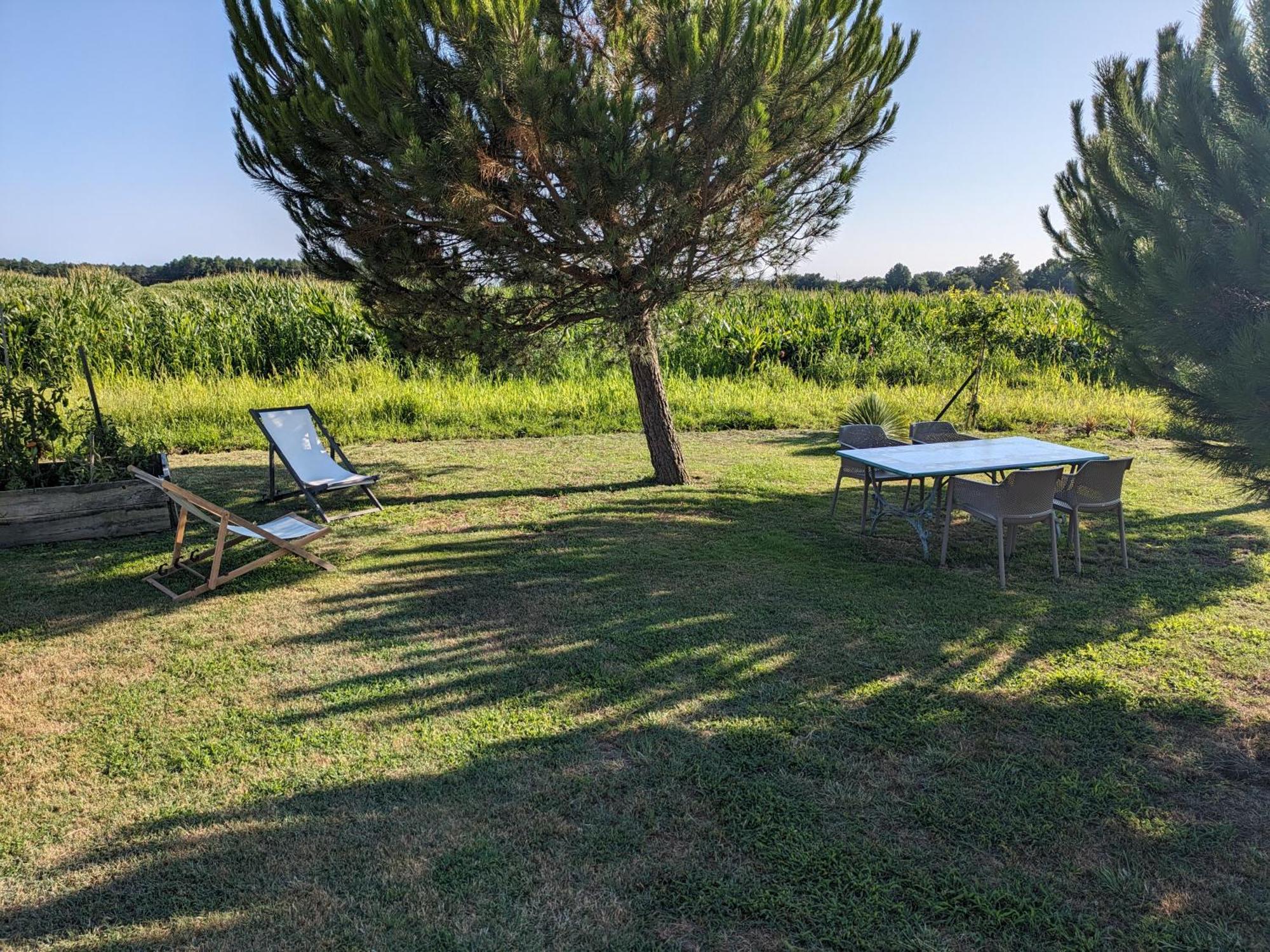 Villa La Grange D'Hardy Soustons Exterior foto
